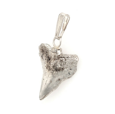 Sterling Silver Shark Tooth Pendant