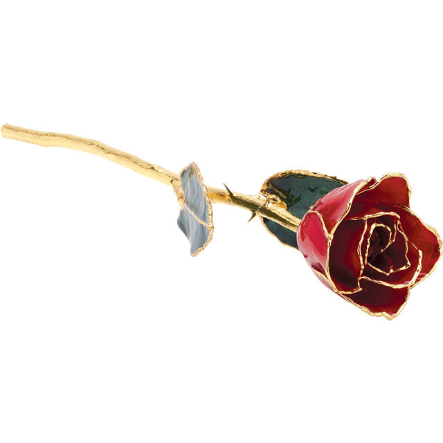 Red Rose With 24K Gold Trim