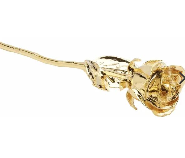 24K Gold Plated Rose