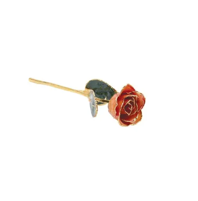 24K Gold Trimmed & Lacquered Orange Rose