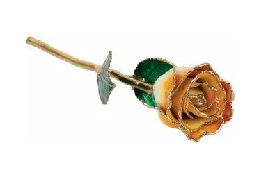 Lacquered Cream Orange Rose with 24K Gold Trim