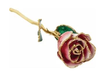 Frozen White & Red Rose with 24K Gold Trim