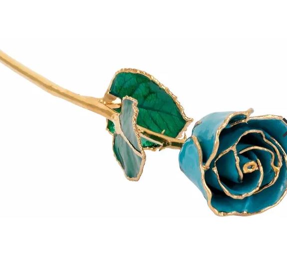 March Aquamarine Rose with 24K Gold Trim