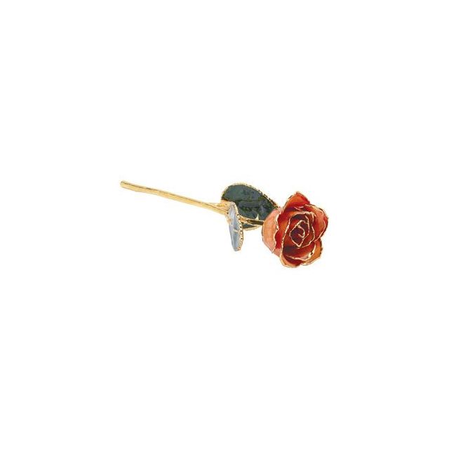 24K Gold Trimmed & Lacquered Orange Rose