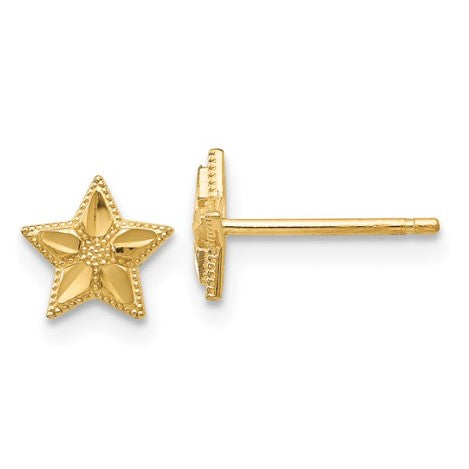 14KY Polished and D/C Star Post Earrings