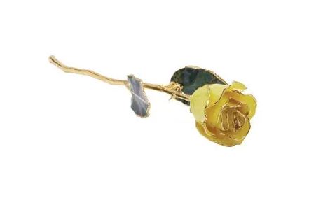 24K store Lacquered Rose with trimmed gold