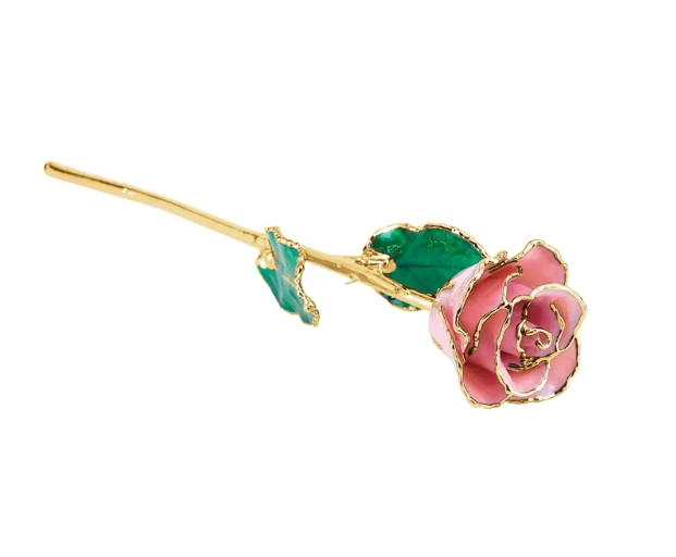 Pink Pearl Rose with 24K Gold Trim