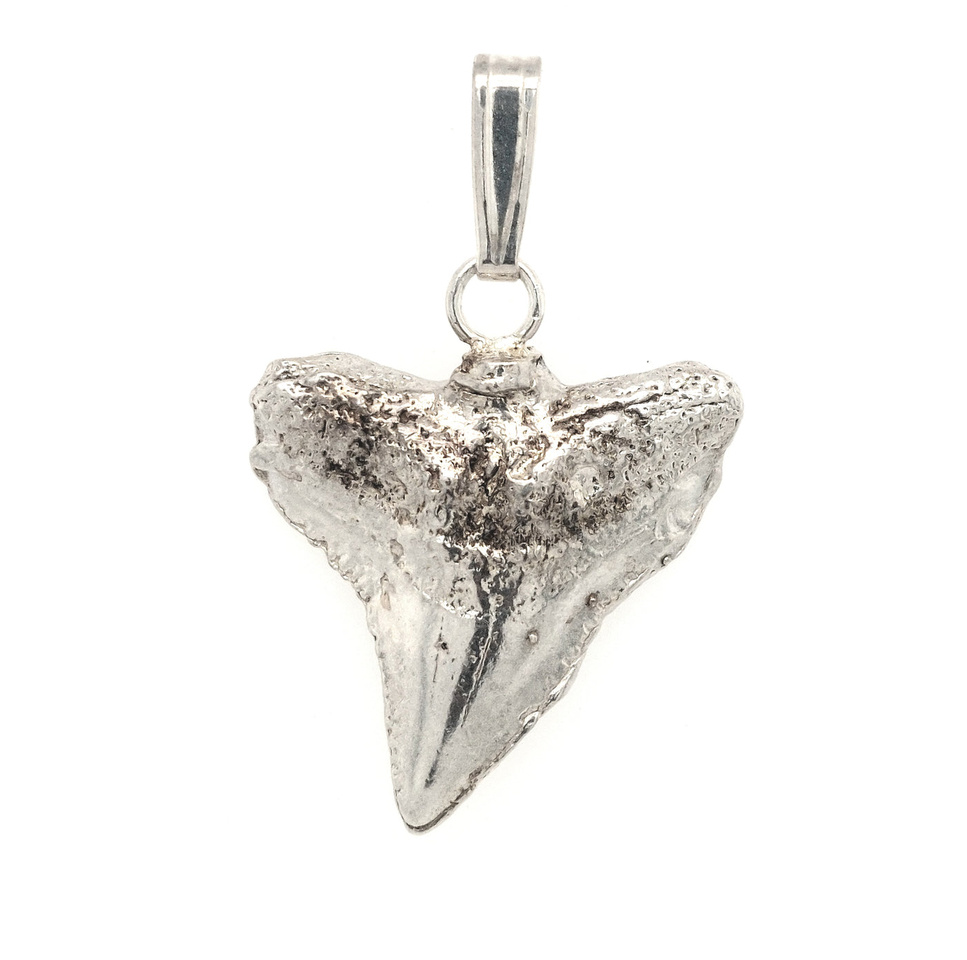 Sterling Silver Shark Tooth Pendant